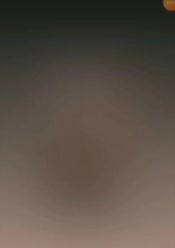 117233