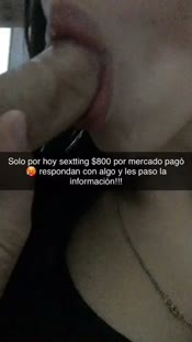 163544