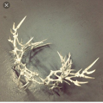22036