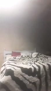 218526