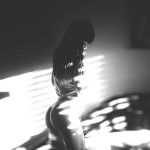 230863