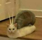 68695