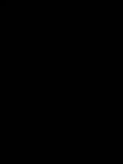 51665