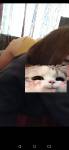 50296