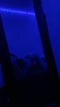 86900