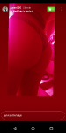 13023