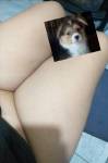 3245