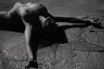 146066