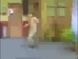 22426