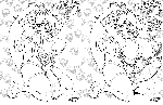 5004
