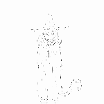 5507