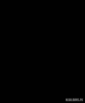 15202