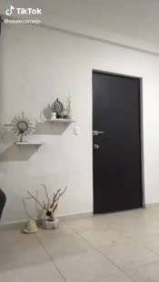 11618