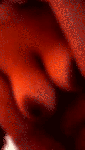 2107