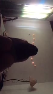 11869