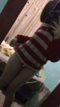 128448
