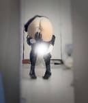 75362