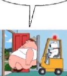 20538