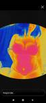 12339
